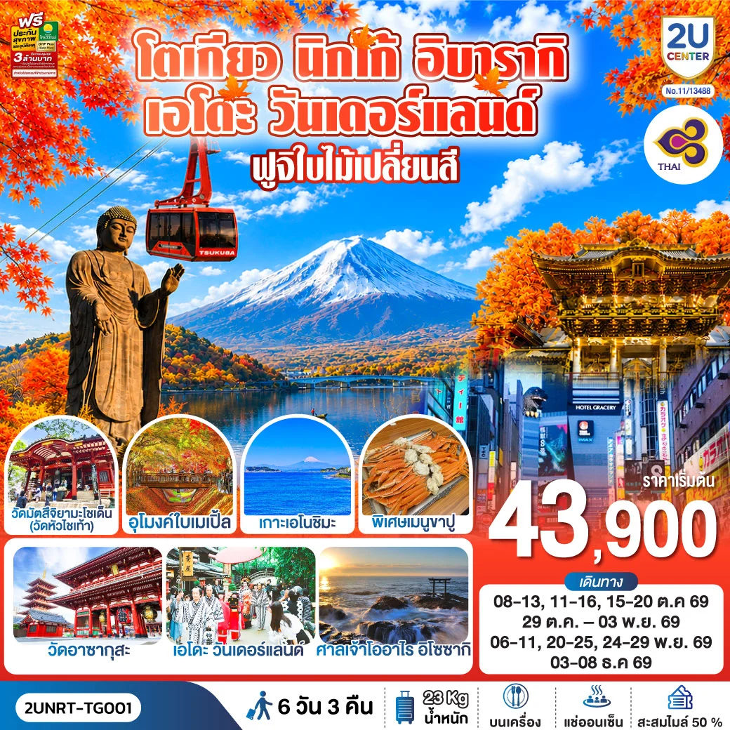 ทัวร์ญี่ปุ่น โตเกียว นิกโก้ เอโดะ วันเดอร์แลนด์  ฟูจิเปลี่ยนสี 6วัน 3คืน  (TG)